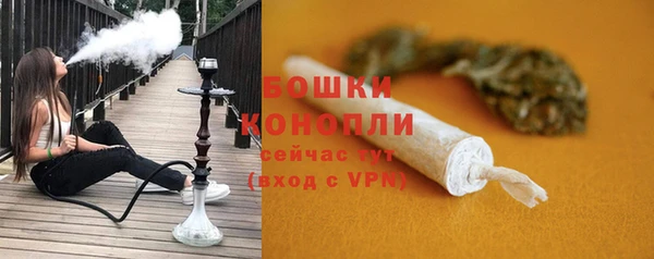 экстази Няндома