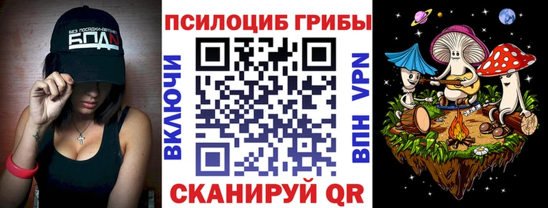 Псилоцибиновые грибы MAGIC MUSHROOMS Торжок