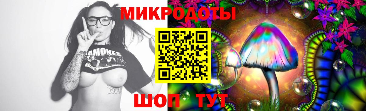 Торжок  Псилоцибиновые грибы прущие грибы  Вход с VPN 